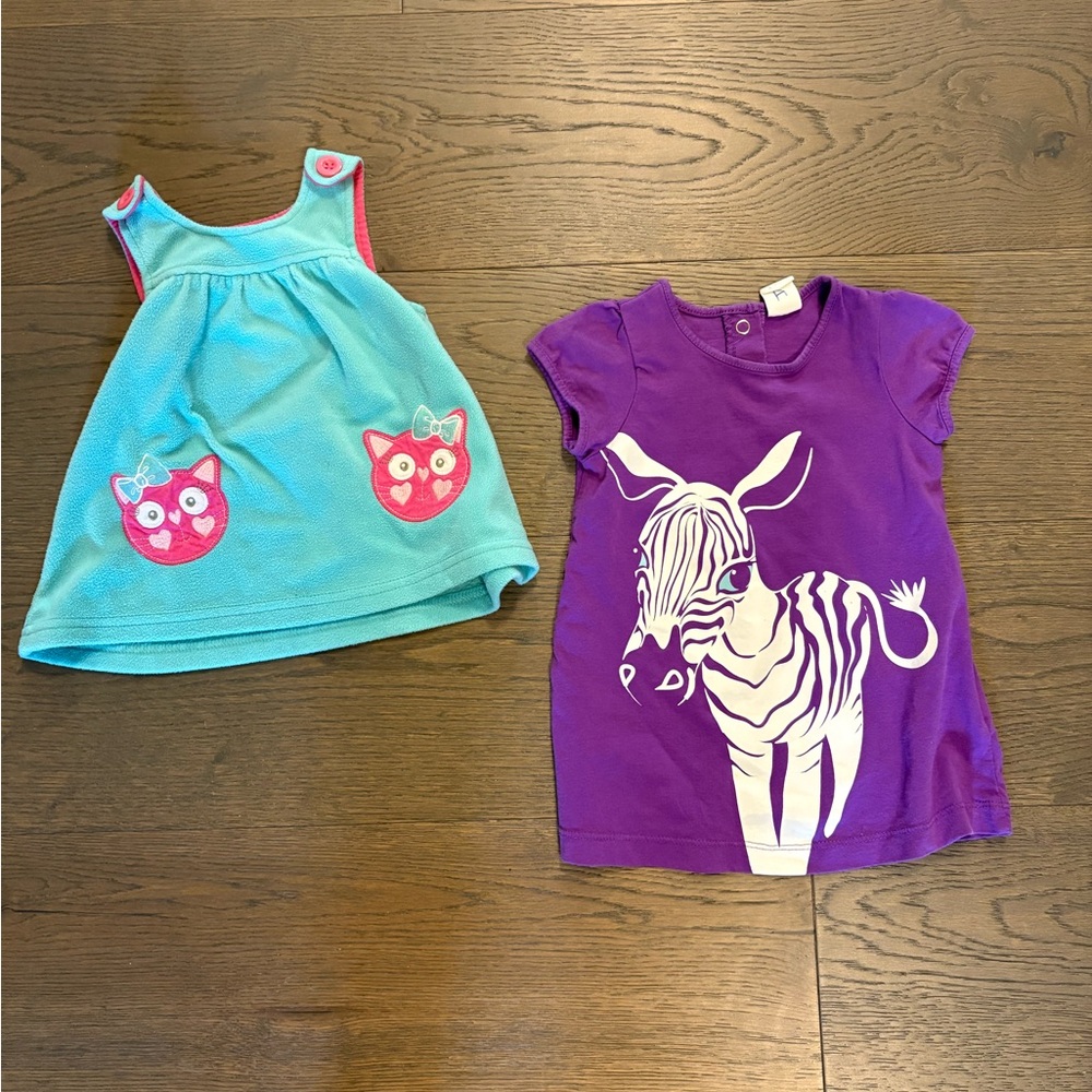 Baby girl dresses 3-6M (1 NWT and 1 EUC)